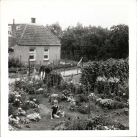 0787-0001 0003 1968woonhuis Harry Graven in de tuin Fons Walraven