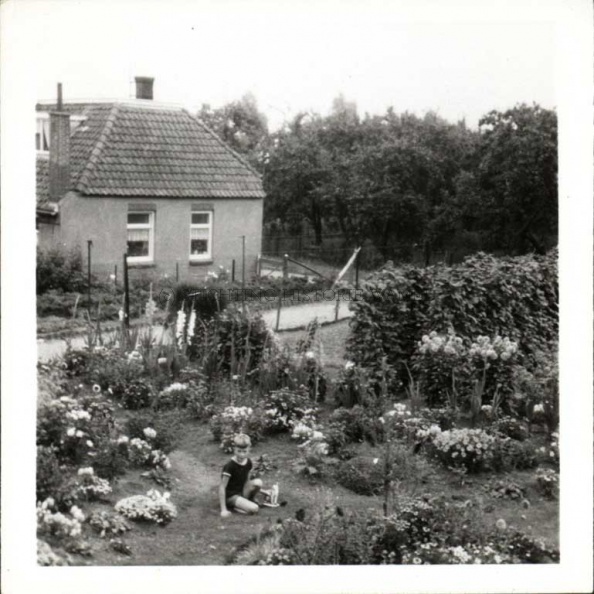 0787-0001_0003 1968woonhuis Harry Graven in de tuin Fons Walraven.jpg