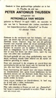 Thijssen Peter 13101966 (2)
