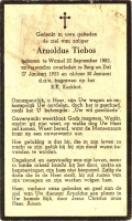 Tiebos Arnoldus 27011953 (2)