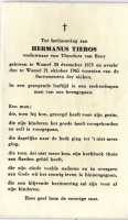 Tiebos Hermanus 21101965 (2)