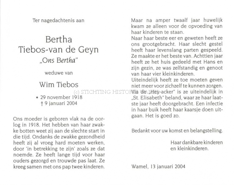 van de Geyn Bertha -Tiebos- 09012004 (2).jpg